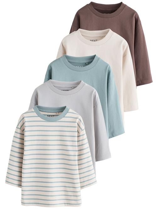 Next Shirts  ecru / blå / lyseblå / choko