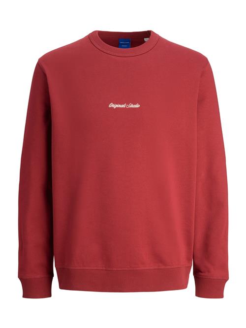 JACK & JONES Sweatshirt 'JORNorrebro'  cranberry / hvid