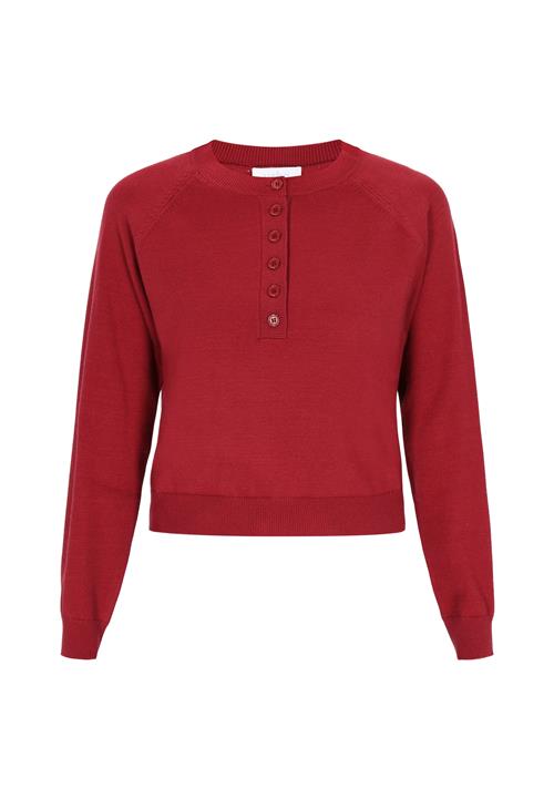 usha BLUE LABEL Pullover  burgunder