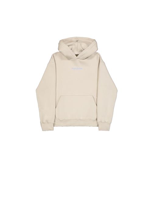 ALPHA INDUSTRIES Pullover 'Studio Edition'  beige / blå