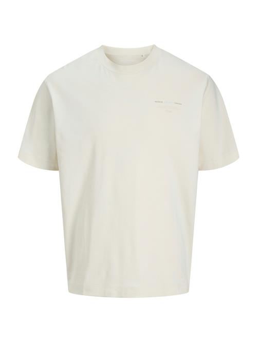 JACK & JONES Bluser & t-shirts 'JJEURBAN EDGE STUDIO'  lyseblå / brun / naturhvid