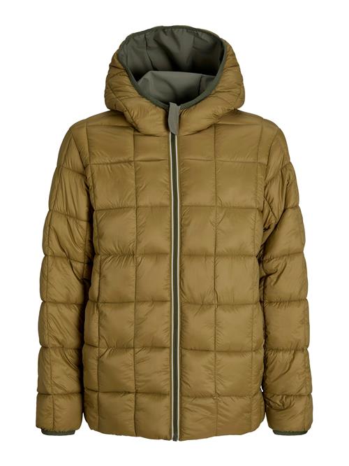 JACK & JONES Vinterjakke 'JJEBrook'  oliven