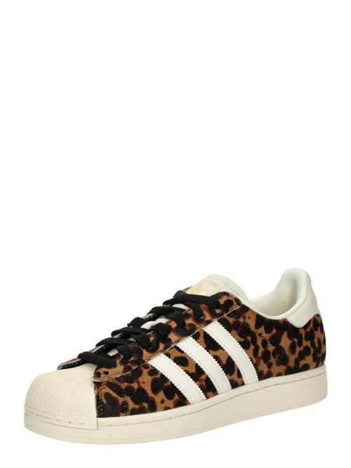ADIDAS ORIGINALS Sneaker low 'Superstar II'  brun / karamel / sort / hvid