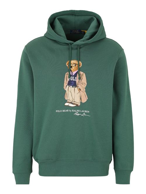 Polo Ralph Lauren Sweatshirt  marin / brun / gran / hvid