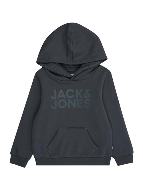 JACK & JONES MINI Sweatshirt  grafit / mørkegrå
