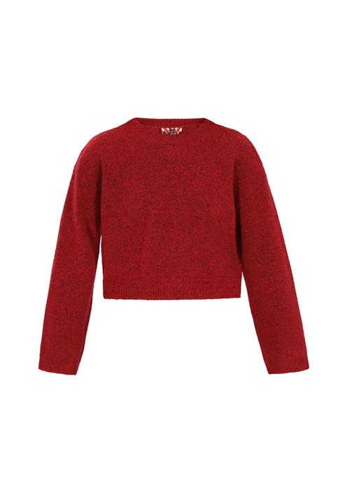 myMo ROCKS Pullover  mørkerød