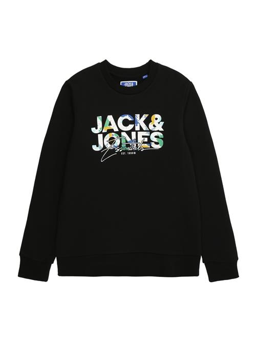 Jack & Jones Junior Sweatshirt 'JJGEPLAS'  blå / grøn / sort / hvid