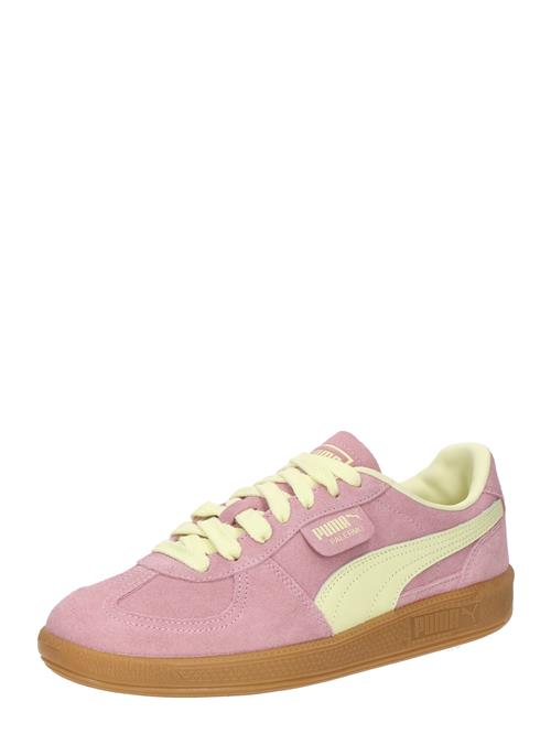 PUMA Sneaker low 'Palermo'  lysegul / gammelrosa