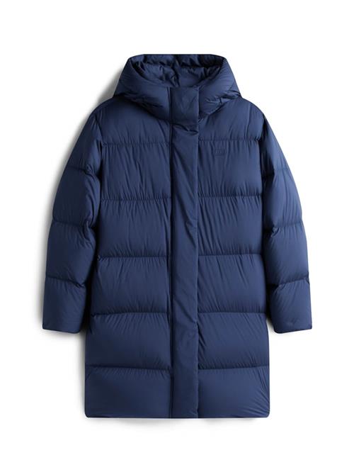 TOMMY HILFIGER Vinterfrakke  navy