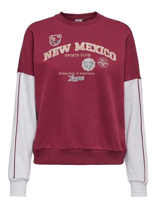 ONLY Sweatshirt 'ONLMiriam'  kit / grå / pastelrød / hvid