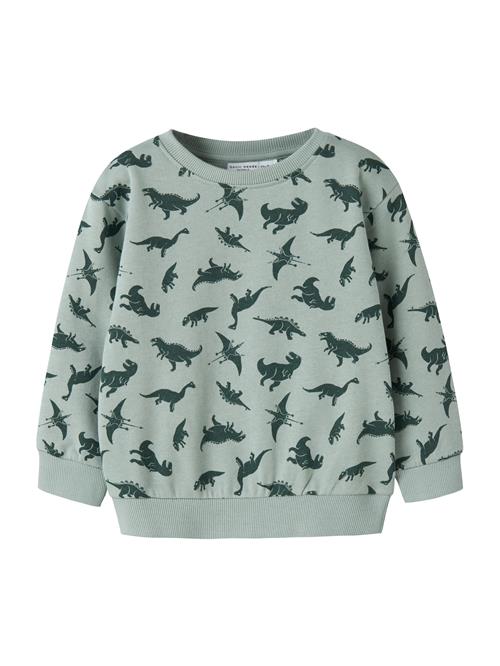 NAME IT Sweatshirt 'NMMVIFELIX'  pastelgrøn / mørkegrøn