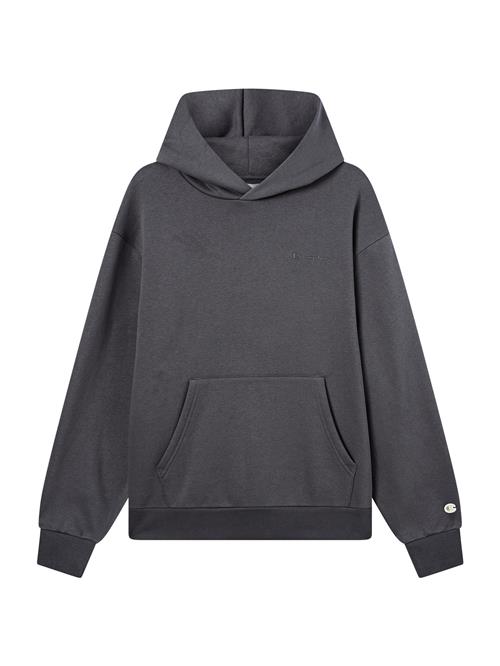 Champion Authentic Athletic Apparel Pullover  grafit