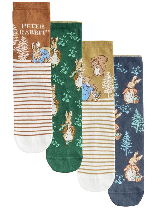 Next Sokker  mørkeblå / brun / grøn / hvid