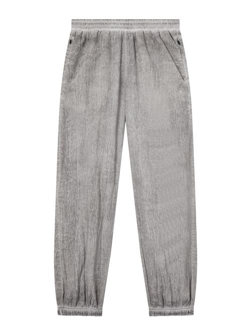 Champion Authentic Athletic Apparel Sportsbukser  grå-meleret / sort