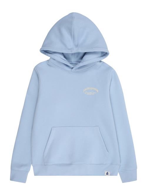 Jack & Jones Junior Sweatshirt 'JJEBRANDES'  lyseblå / hvid