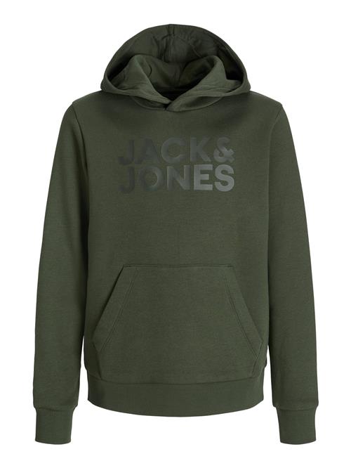 Jack & Jones Junior Sweatshirt  mørkegrå / mørkegrøn