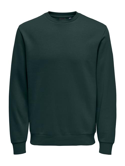 Only & Sons Sweatshirt 'ONSCERES'  mørkegrøn