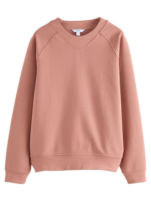 Next Sweatshirt  kastaniebrun