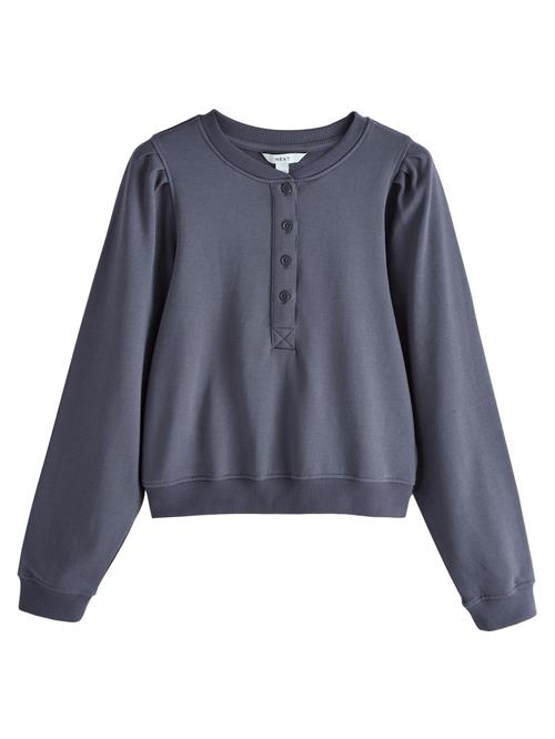 Next Sweatshirt  indigo