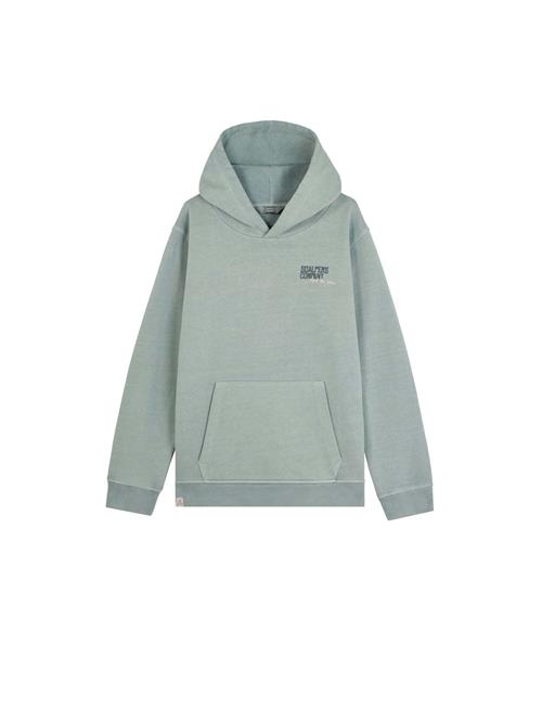 Scalpers Sweatshirt 'Typeskull'  greige / mørkegrå / mint