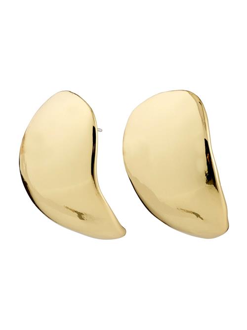 Pilgrim Øreringe 'Sparkle'  guld
