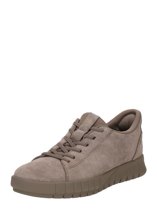 GEOX Sneaker low 'FLEXTRIDE PLUS'  guld / taupe