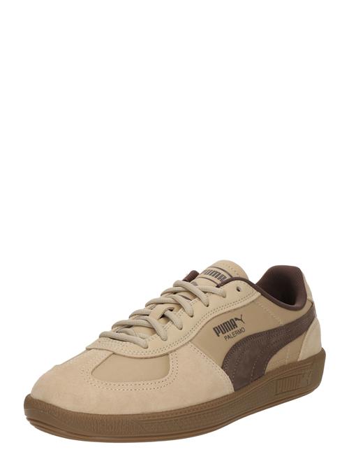 PUMA Sneaker low 'Palermo'  beige / brun