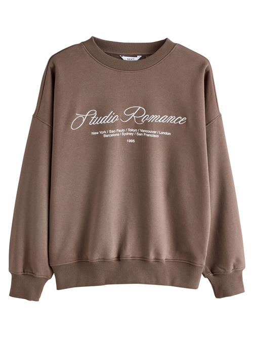 Next Sweatshirt 'Polaroids Picturesque'  brun / grøn / lyserød / hvid