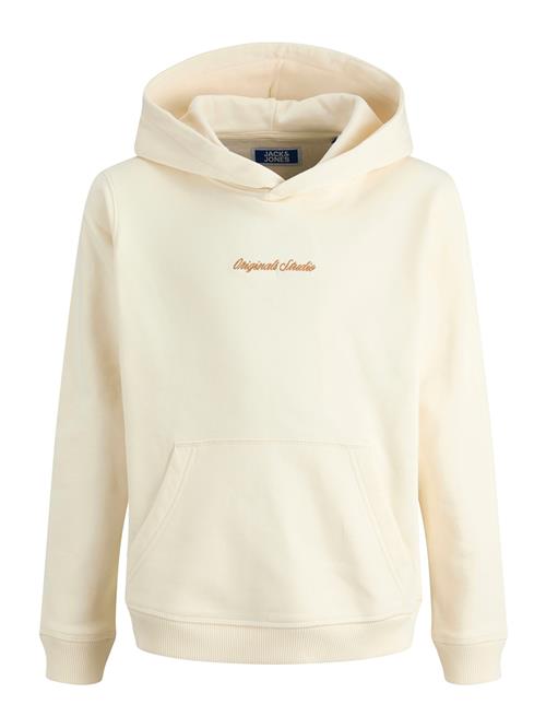 Jack & Jones Junior Sweatshirt 'JORNORREBRO'  pueblo / uldhvid
