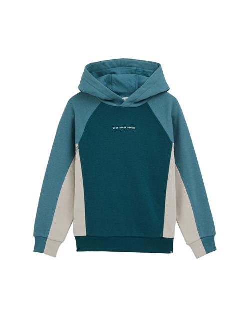 WE Fashion Sweatshirt  beige / blå / grøn