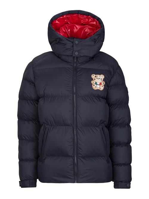 19V69 ITALIA Vinterjakke 'Jeffrey Teddy'  navy / lysebrun