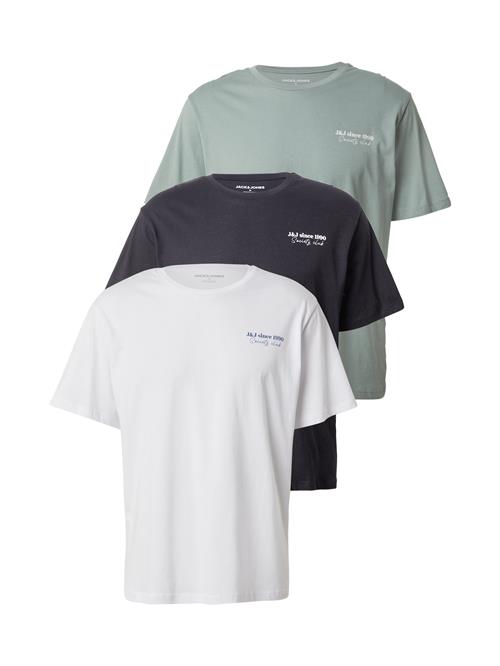 JACK & JONES Bluser & t-shirts 'JJNINETY'  mint / sort / hvid