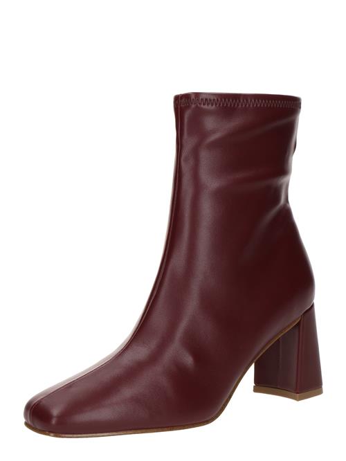 STEVE MADDEN Støvletter  bordeaux