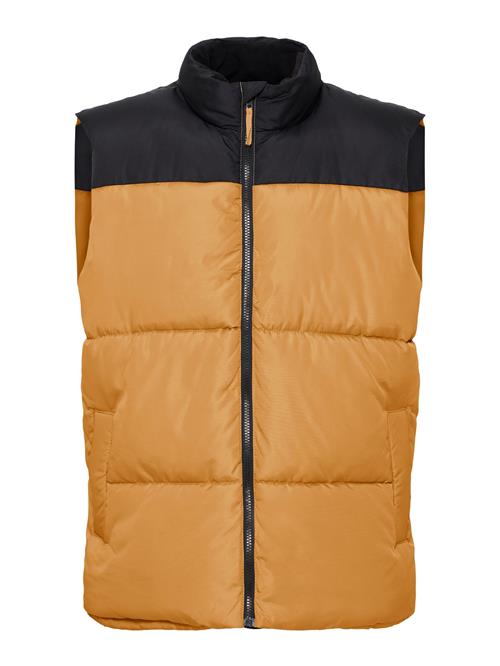 BLEND Vest 'BHELWIN'  cappuccino / sort