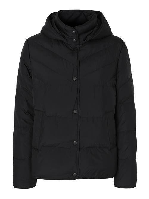 TATUUM Vinterjakke  sort