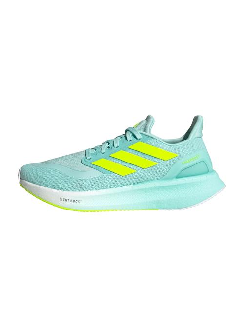 ADIDAS PERFORMANCE Løbesko 'PUREBOOST 5'  aqua / neongul