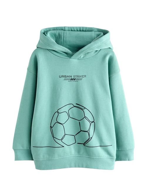 Next Sweatshirt  mint / sort