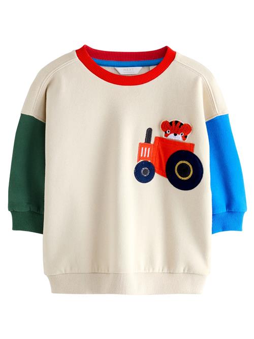 Next Sweatshirt  ecru / himmelblå / grøn / orangerød