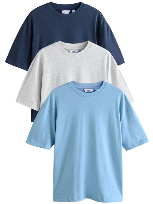 Next Bluser & t-shirts  navy / lyseblå / lysegrå