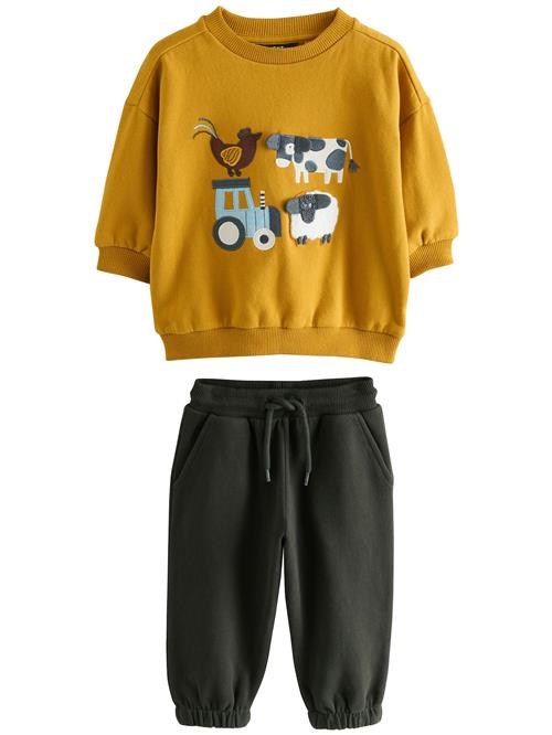 Next Sæt  lyseblå / gul / mørkegrøn / hvid