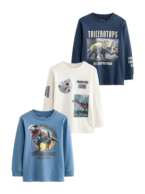 Next Shirts  marin / himmelblå / antracit / hvid