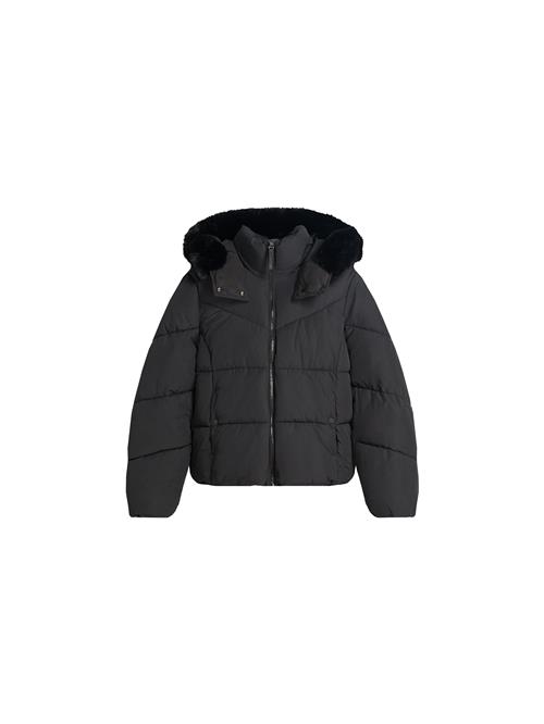 Bershka Vinterjakke  sort