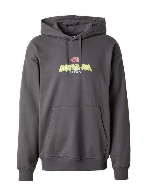 THE NORTH FACE Sweatshirt 'U EXPEDITION CELEBRATION'  lyseblå / mørkegrå / lysegrøn / lys pink