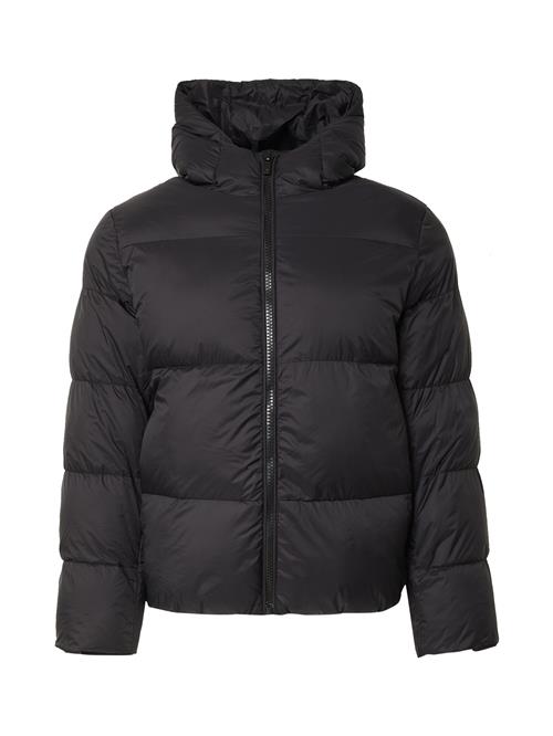 DAN FOX APPAREL Vinterjakke 'John '  sort