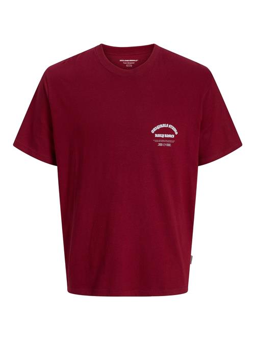 JACK & JONES Bluser & t-shirts 'JORMEADOWS'  lyseblå / rød / hvid