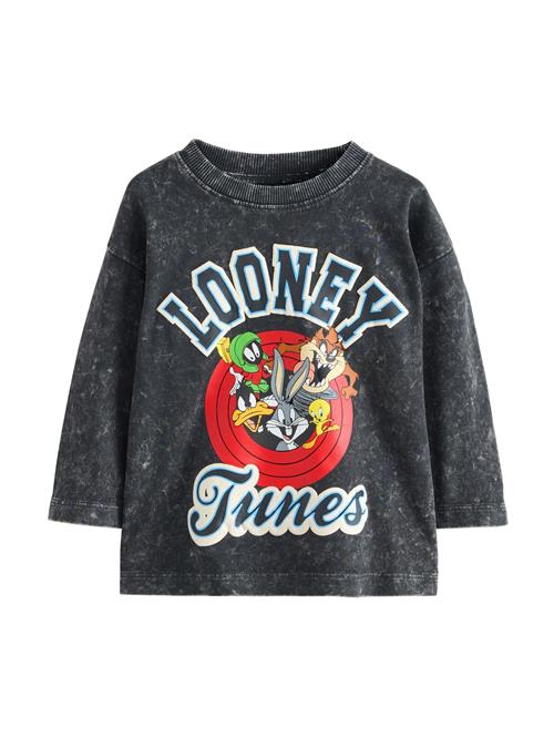 Next Shirts 'Looney Tunes'  mørkegrå / grøn / rød / hvid