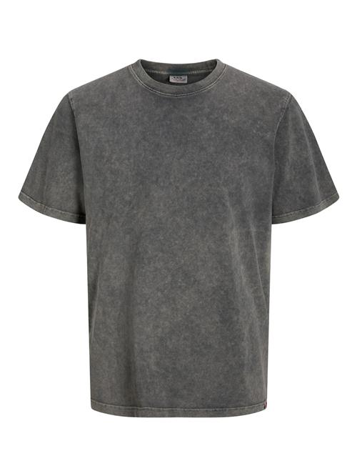 R.D.D. ROYAL DENIM DIVISION Bluser & t-shirts 'RDDGARY'  grå-meleret