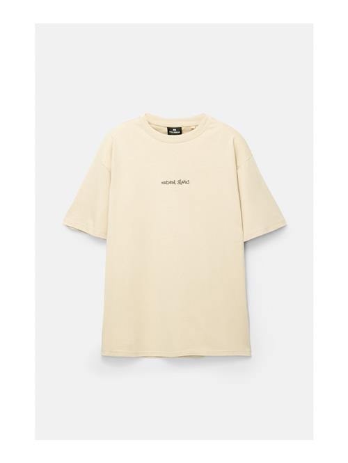 Pull&Bear Bluser & t-shirts  lysebrun / grå