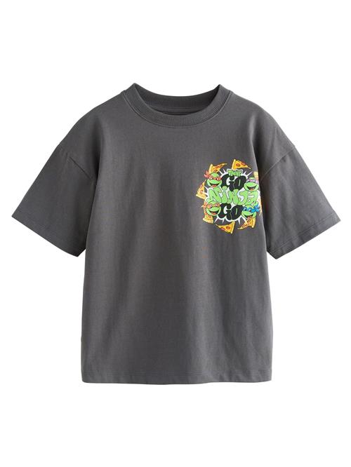 Next Shirts 'Teenage Mutant Ninja Turtles'  mørkegrå / æble / orange / sort