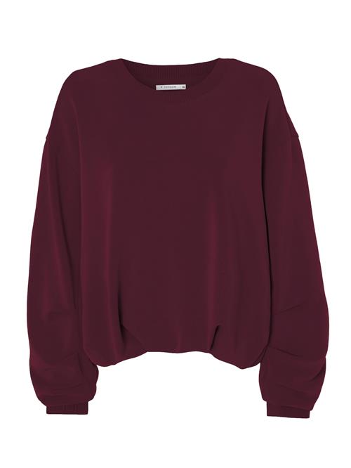 TATUUM Sweatshirt  rød / bordeaux